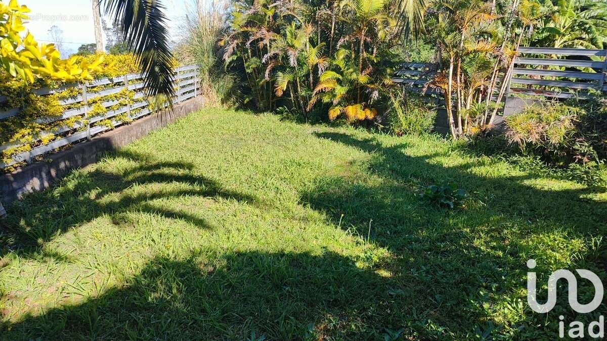 Photo 4 - Maison à SAINT-PIERRE