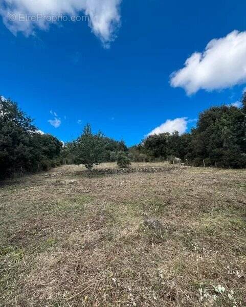 Terrain à TALASANI