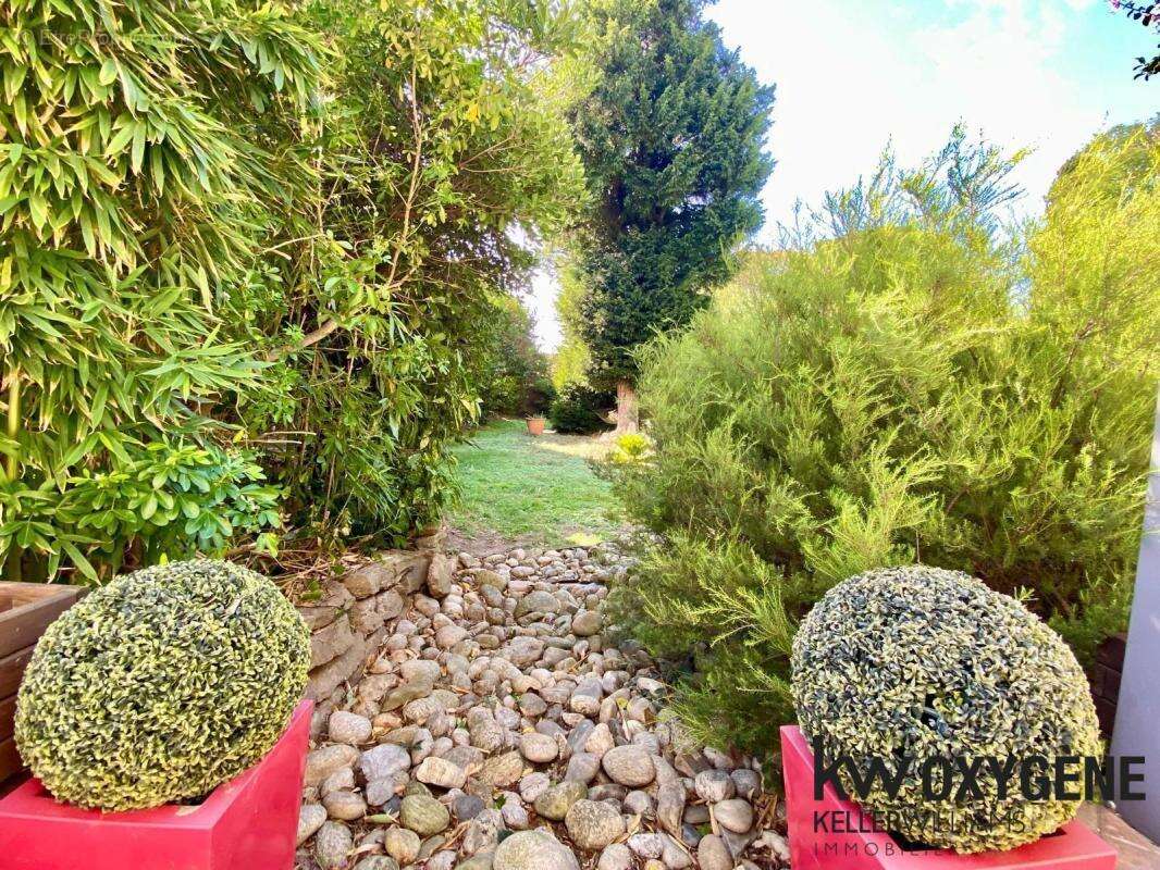 Maison à CARCASSONNE