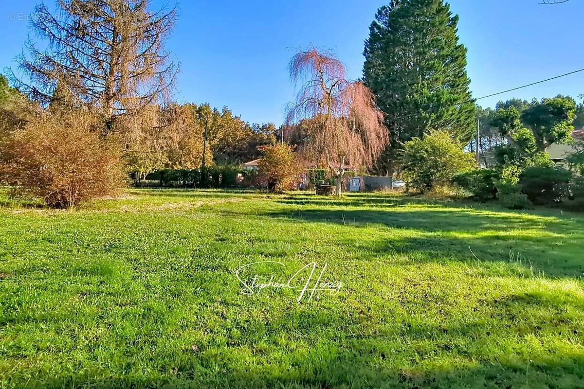 Terrain 899 m² à Salles  - photo 25