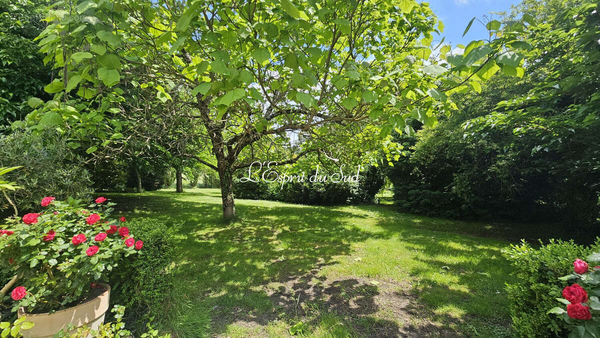 Maison 290 m² à Gaillac  - photo 4