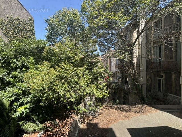MONTPELLIER Rue Maguelone  C.V appart F6 de 128 m2 + cave 15 m2 - photo 3