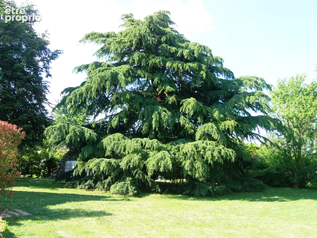 Proche MAINTENON  Maison de Charme sur 2600 m² - photo 14