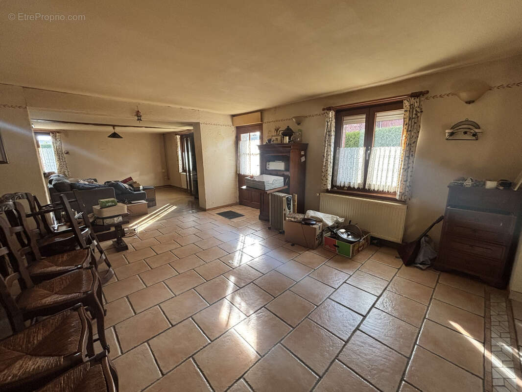 Flamande individuelle landas - photo 3