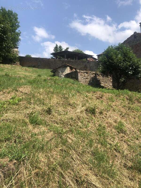 Photo 8 - Terrain à AMPLEPUIS