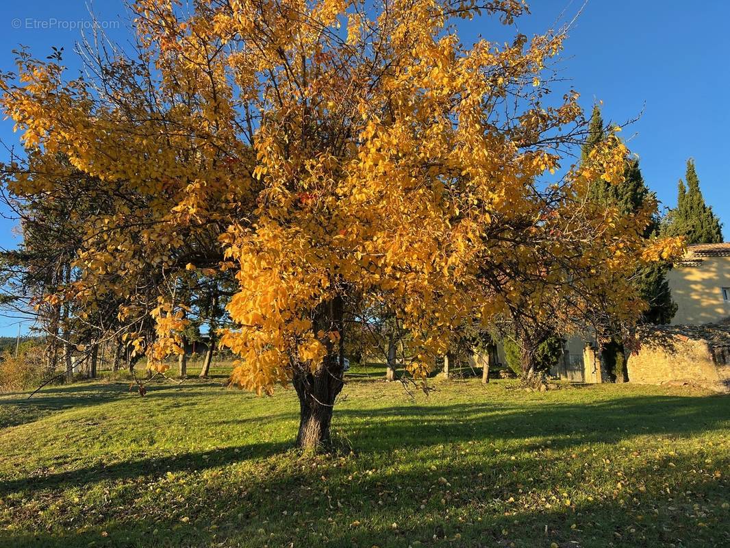 Maison à FORCALQUIER