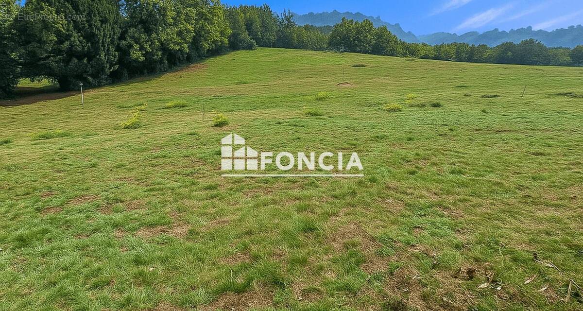 Terrain à SAINT-AMANS-VALTORET