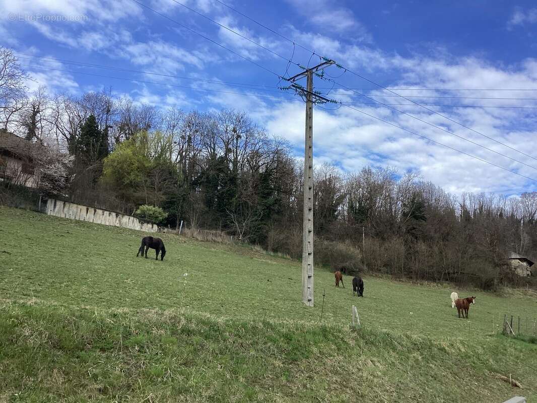 Terrain à COISE-SAINT-JEAN-PIED-GAUTHIER