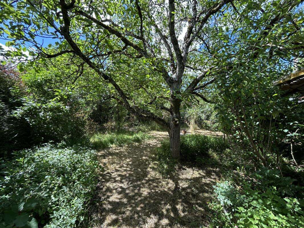 maison type longère de caractères - 156m2 - terrain 899m2 - photo 15