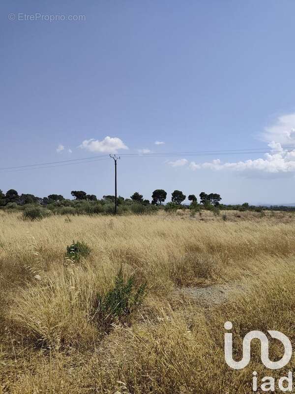 Photo 3 - Terrain à ROUBIA