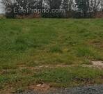 Terrain à SAINT-PERE-EN-RETZ