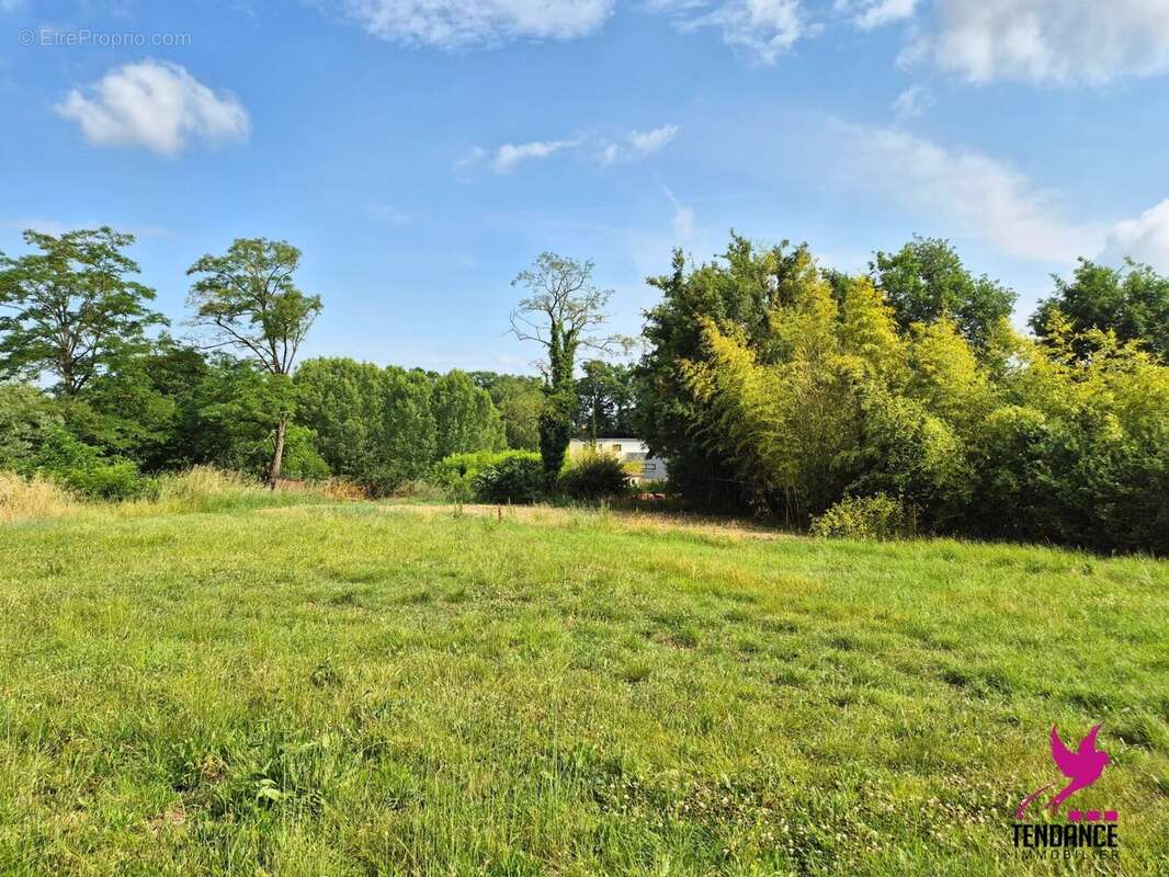 Terrain à MONDONVILLE