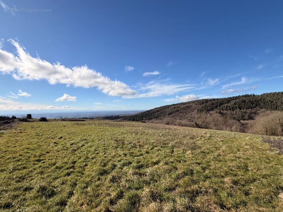 Terrain à LES BRUNELS