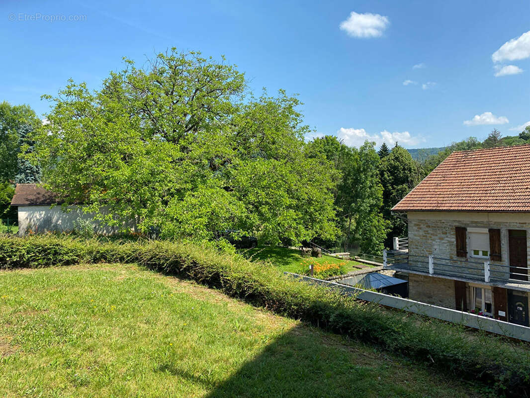 RARE sur Arbois : 2 maisons avec un ancien moulin - photo 8