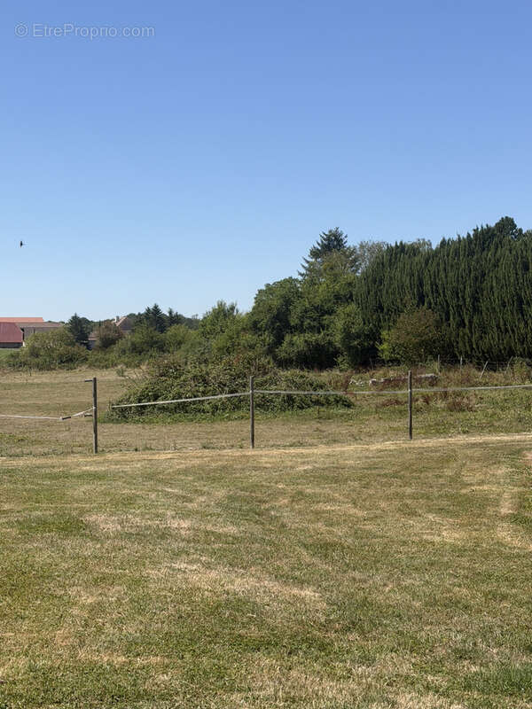 Laubressel  terrain constructible de 987 m2 - photo 3