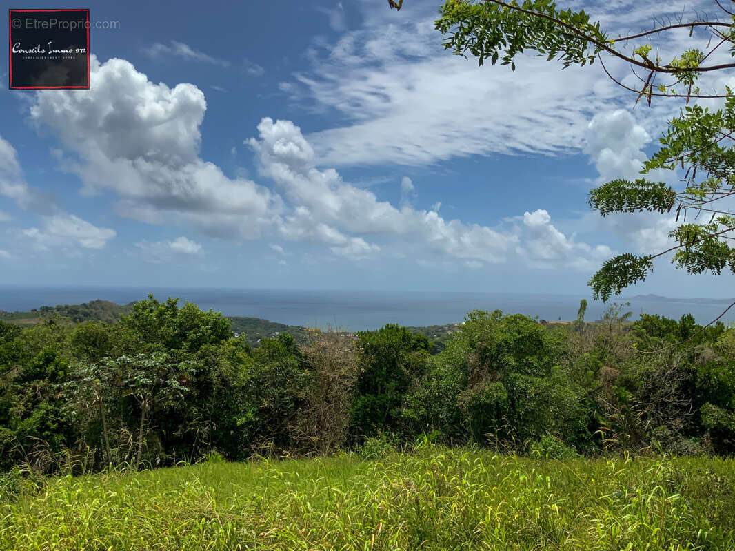 Terrain à SAINTE-MARIE