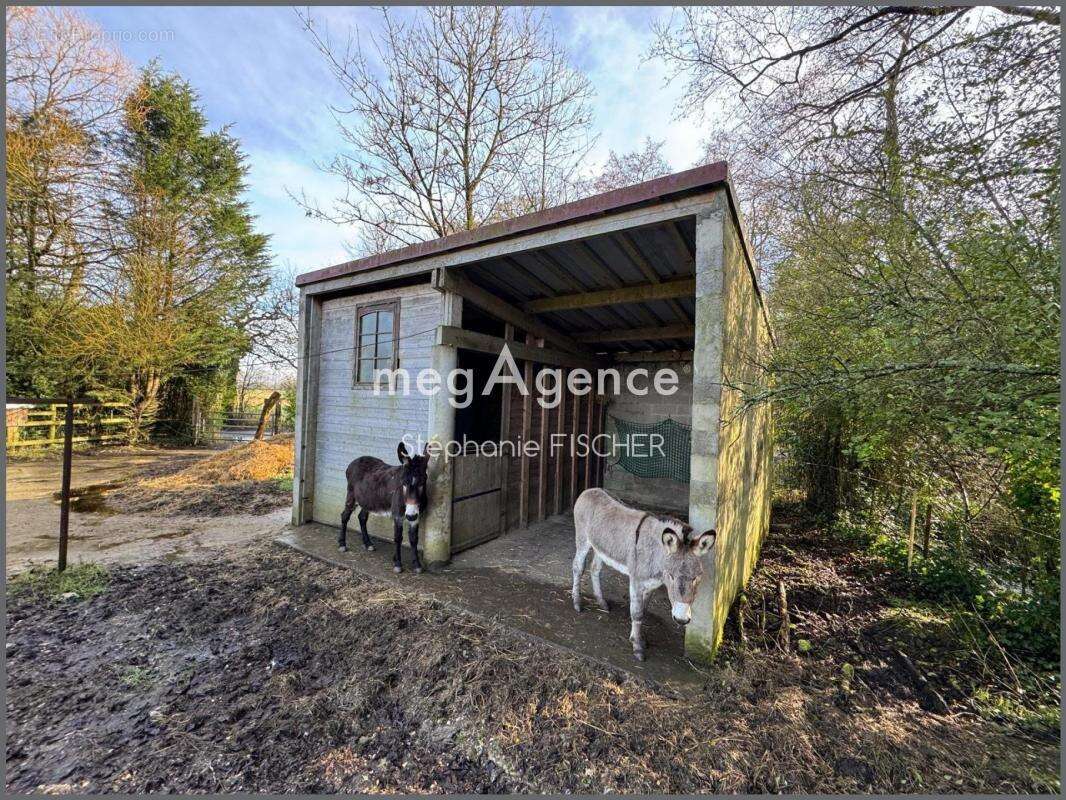 Maison 8 pièces de 265 m2 à Ecames (commune de Condette ) - photo 11