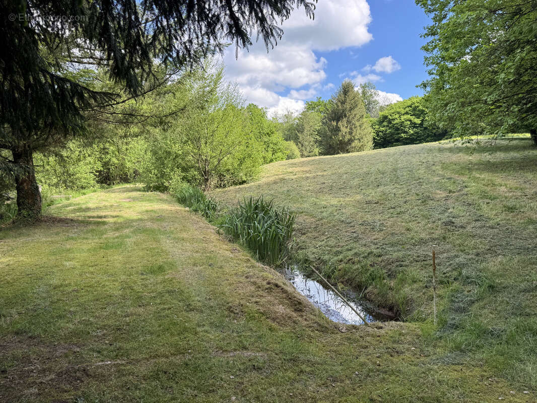 Ensemble de 2 grands etangs dans le morvan - photo 16