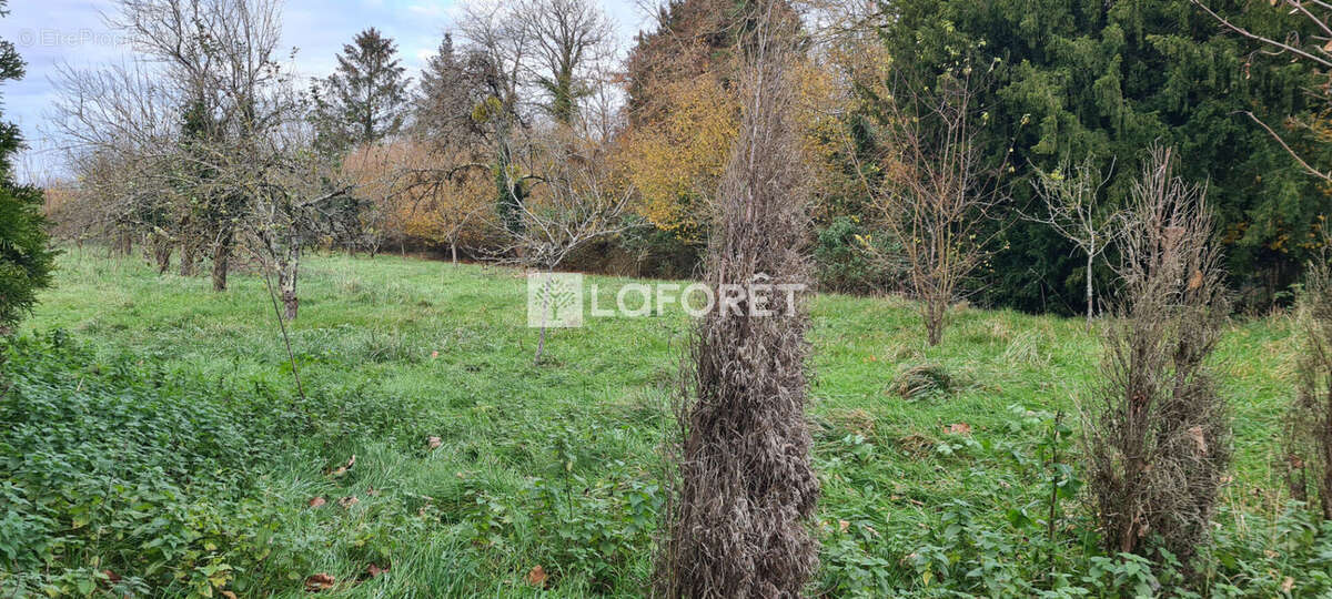 Terrain à VILLERS-LE-SEC