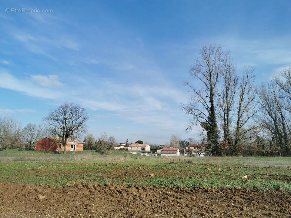 Terrain à LISLE-SUR-TARN