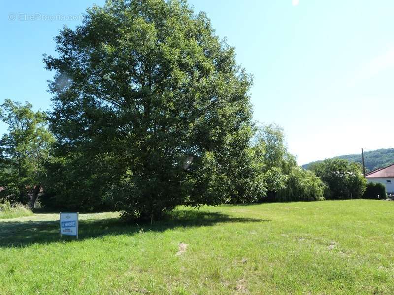 Terrain à SCHORBACH