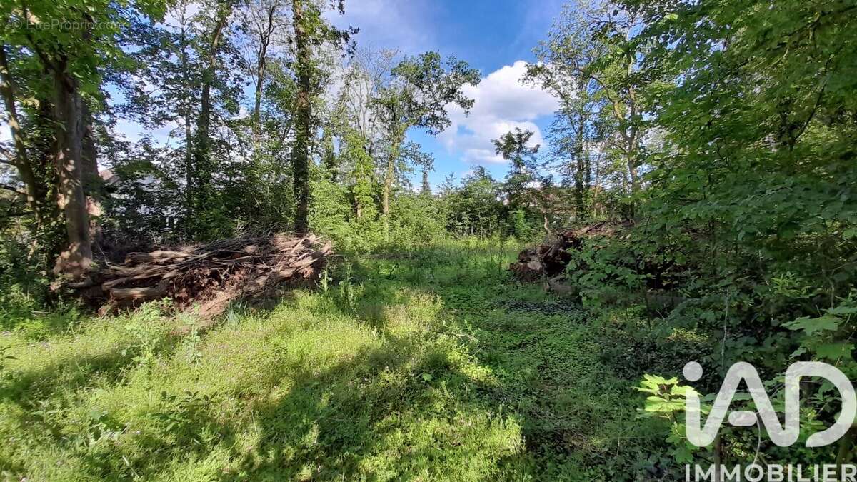 Terrain 2595 m² à Gouvieux  - photo 4