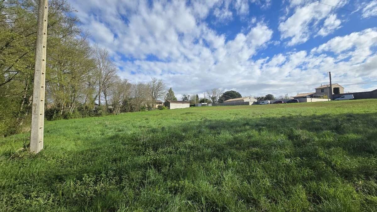 Terrain à CINTEGABELLE