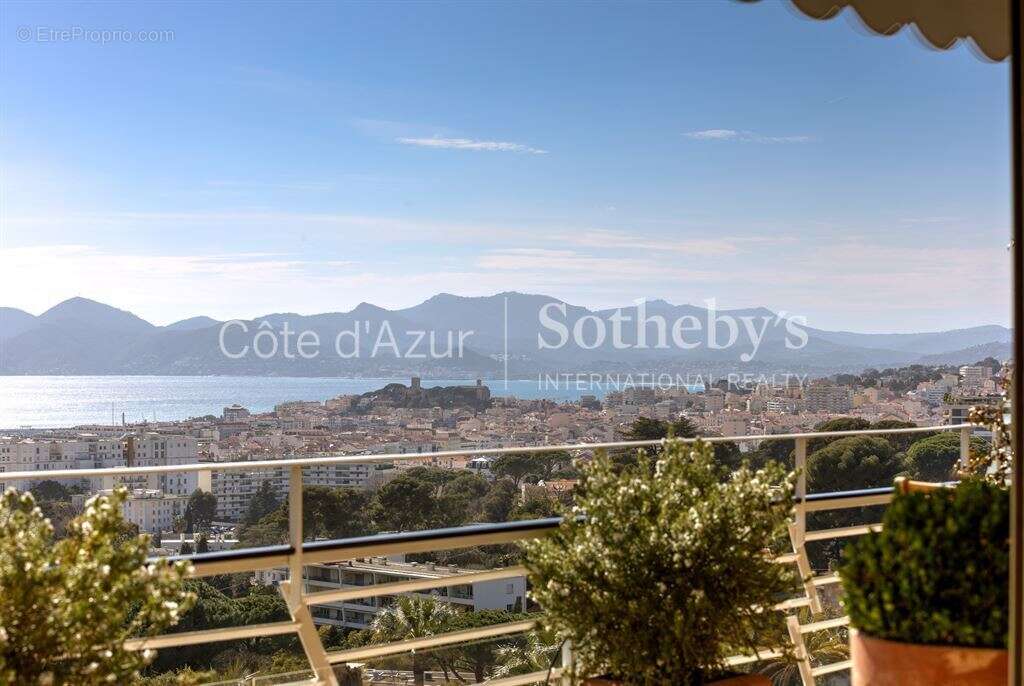 Cannes Californie 3 pièces rénové avec vue panoramique sur la baie de Cannes - photo 14