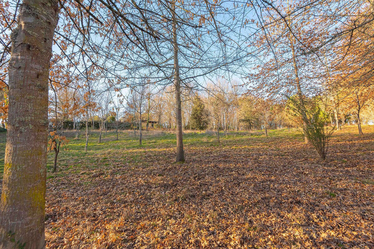 Proche commerces - maison 5 chambres - 250 m2 - sur 7.55 ha - photo 6