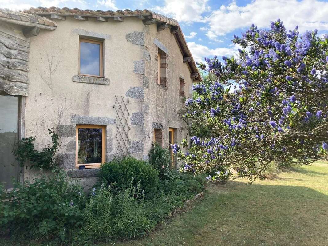 Superbe propriété avec piscine et maisons d'amis - photo 13