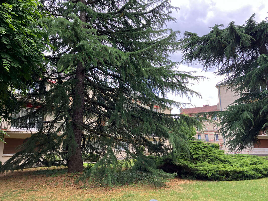 Appartement à MAISONS-LAFFITTE