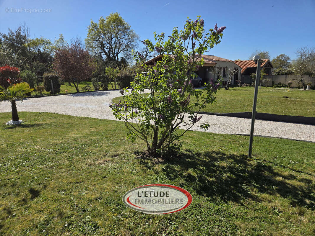 Photo 6 - Maison à SAINTE-PAZANNE