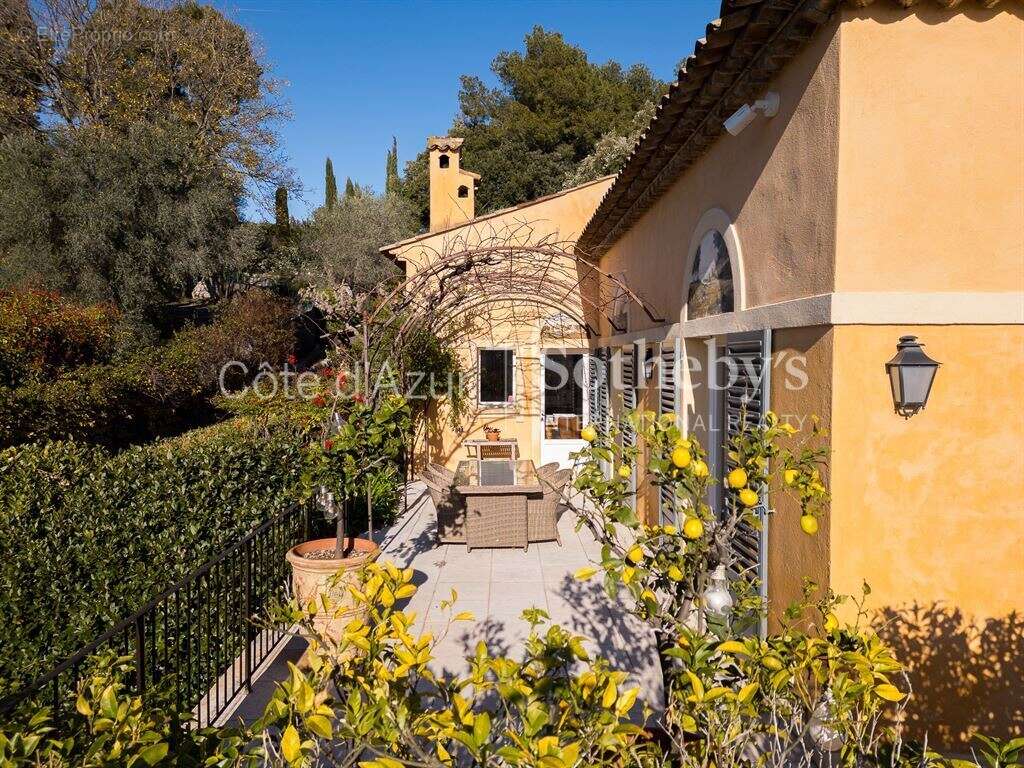 La Colle sur Loup, villa de 398 m² avec piscine chauffée proche de Saint Paul de Vence - photo 14