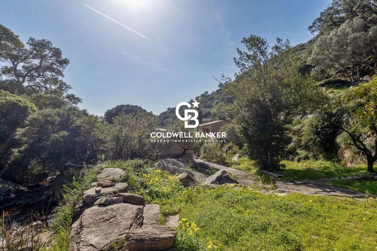 Maison à LE LAVANDOU