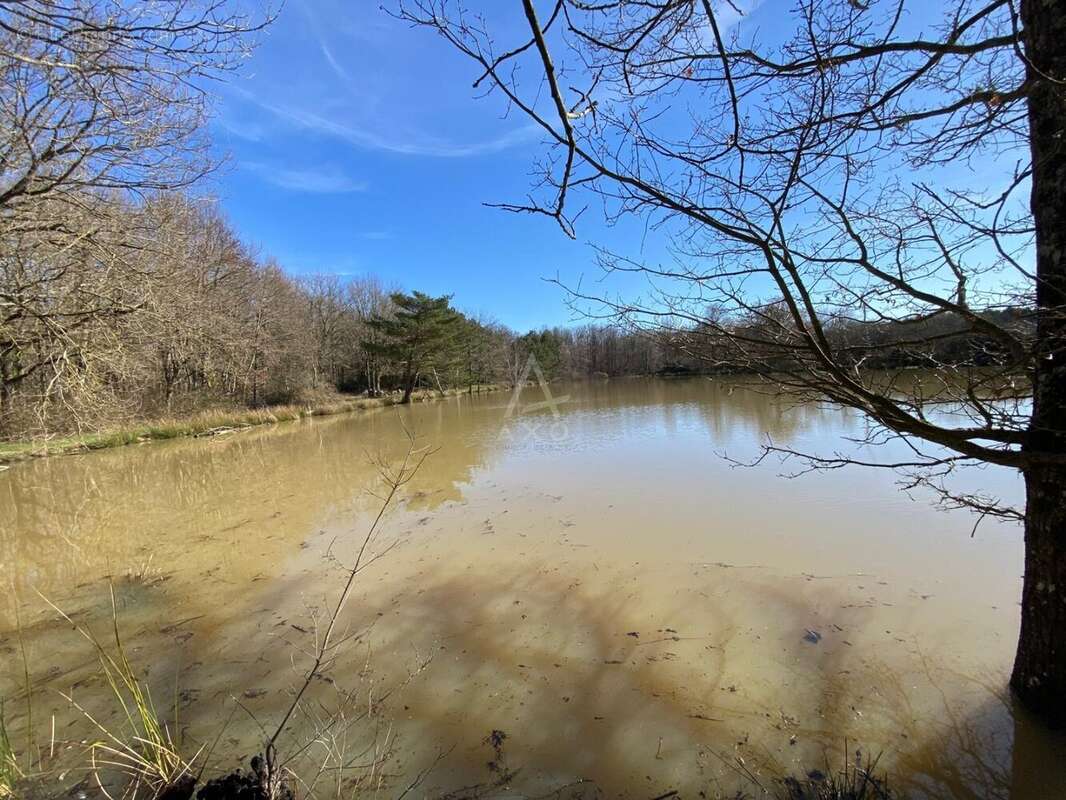 Terrain à SAINT-BRISSON-SUR-LOIRE
