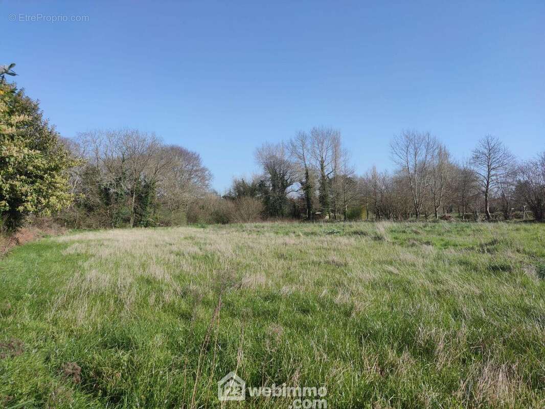Terrain 3572 m² à Tredrez-Locquemeau  - photo 6