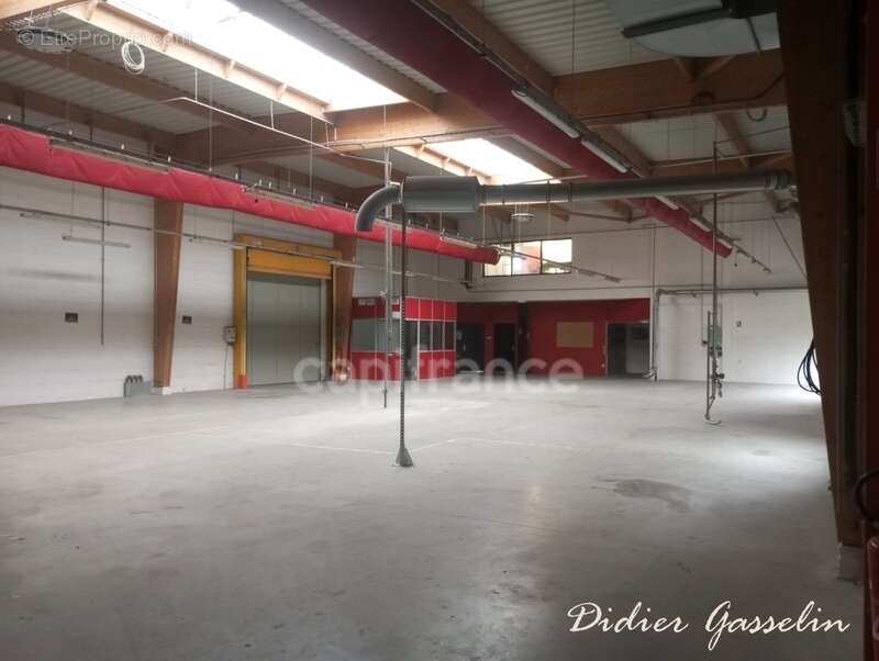 Commerce à BERD'HUIS