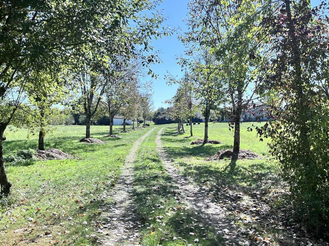 Maison à MONTIGNAC-TOUPINERIE