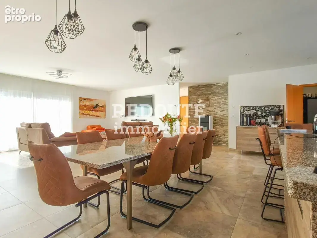 Propriete, plain-pied, suite independante, sous-sol complet - photo 9