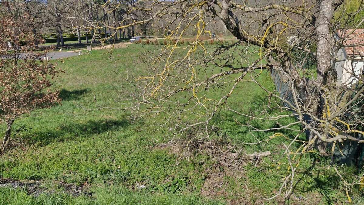 Photo 2 - Terrain à CASTRES