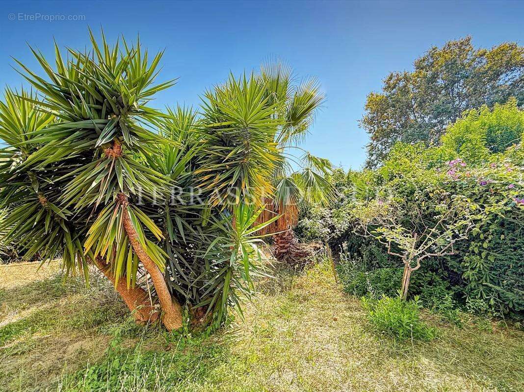 Vente Appartement 4 Pièces, 95 m2 avec 390 m2 de Terrasse et Jardin, Garage - Quartier La Plage - Marseille 8 - photo 23