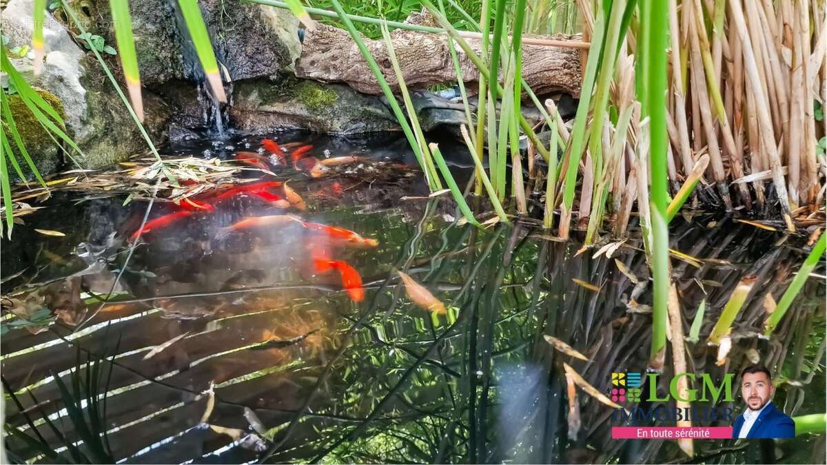 Maison à SAINT-CHRISTOL