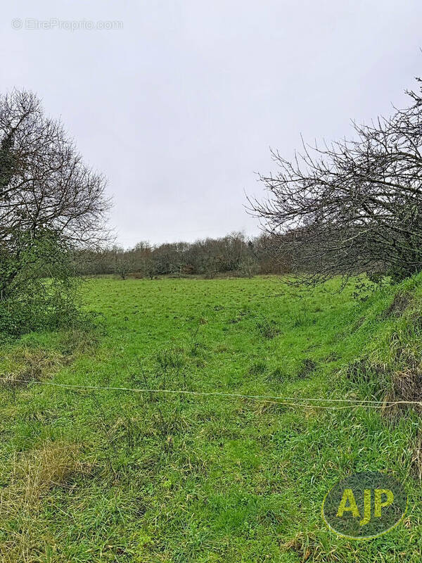 Terrain à SAINT-HERBLAIN