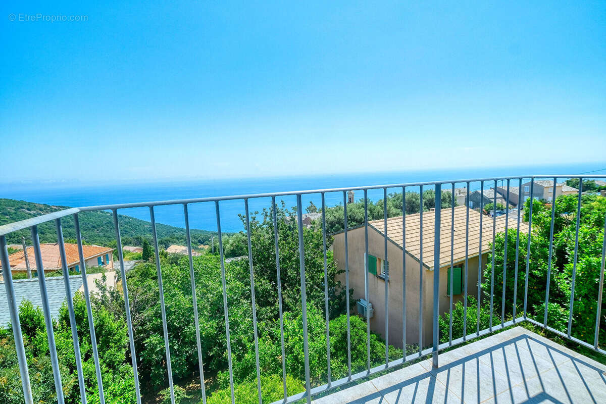 Appartement 74m² à brando - photo 9
