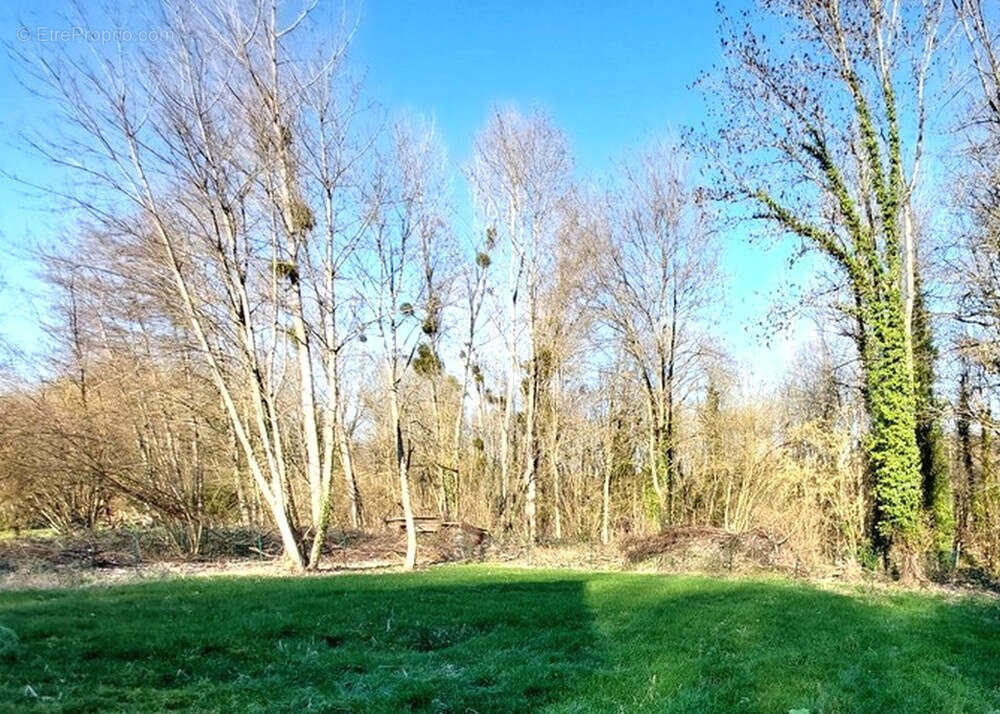Maison à VILLERS-COTTERETS