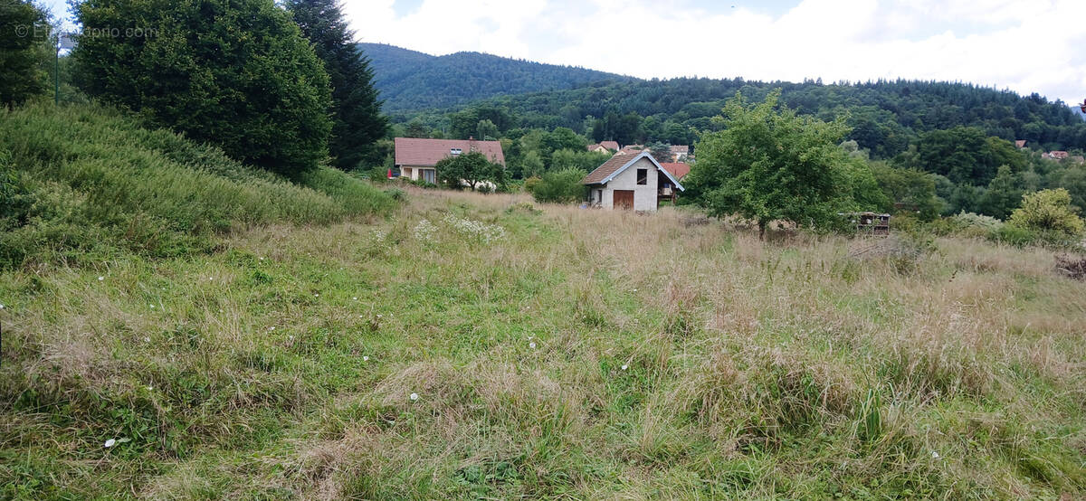 Terrain à GIROMAGNY