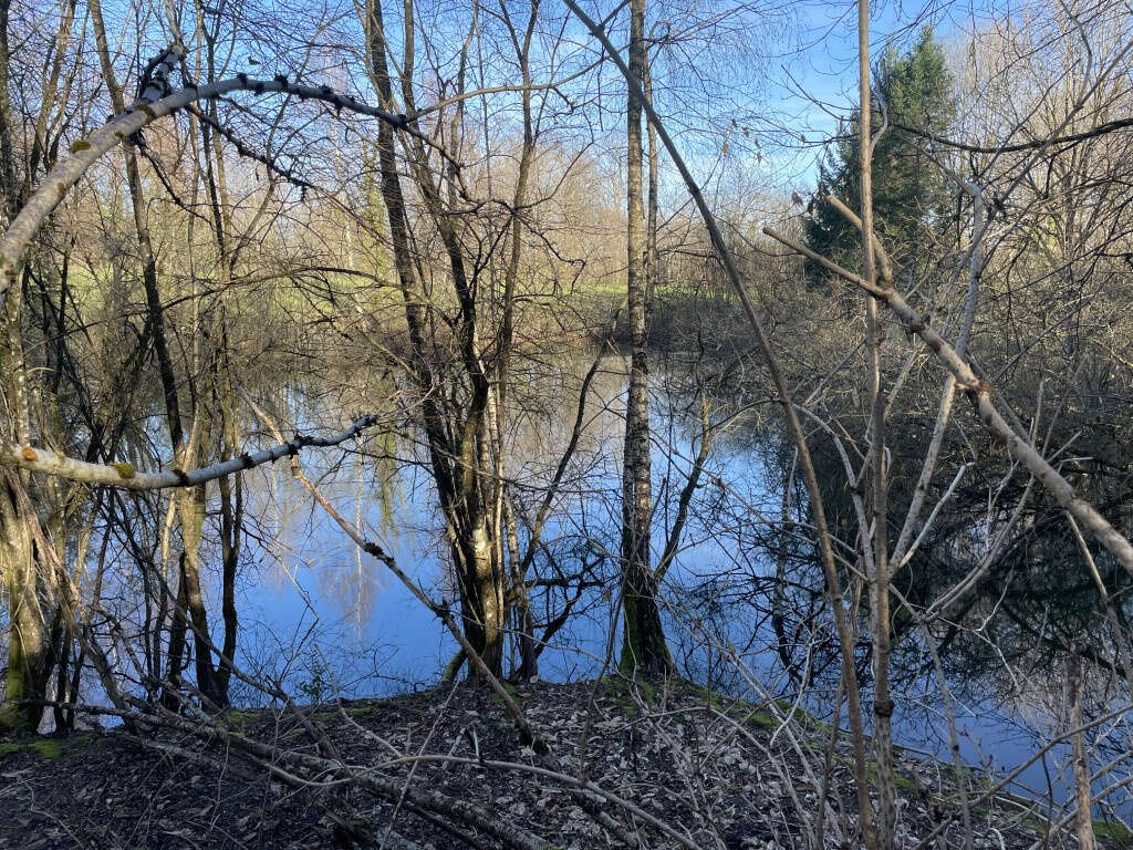 Concèze, proche du bourg, étang 2000 m2 aux normes - photo 4