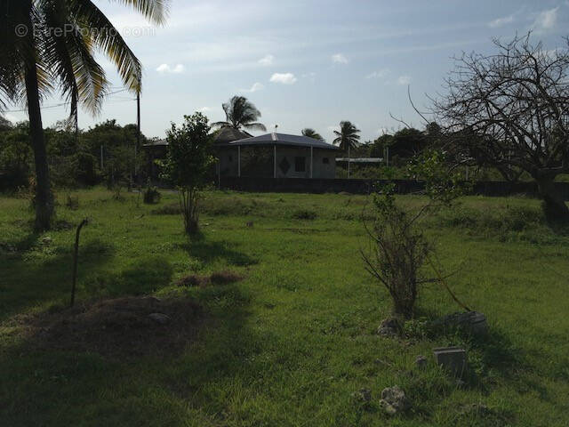 Terrain à PETIT-CANAL