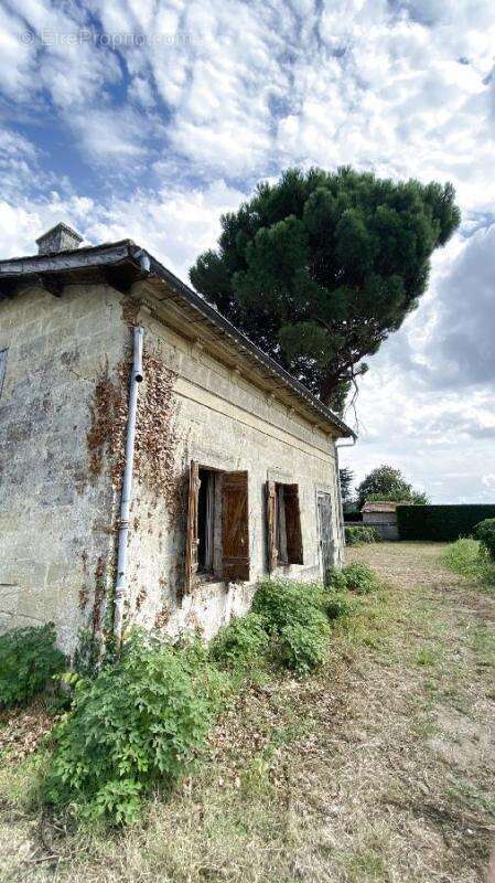 Terrain à SAINT-SULPICE-DE-FALEYRENS