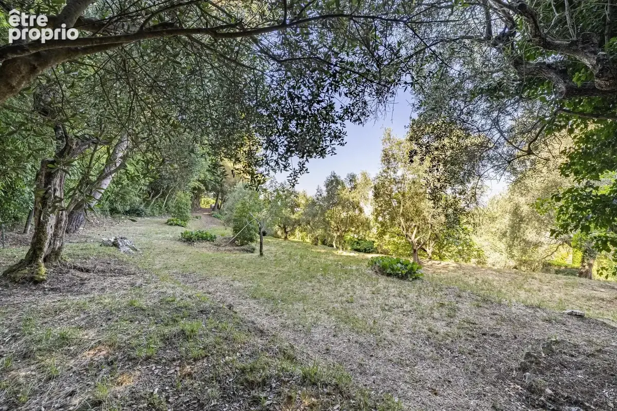 Nice - Vinaigrier -  Maison et dépendance à rénover sur terrain plat de 4.800 m² avec vue mer - photo 17